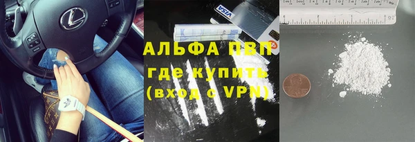 стаф Абаза