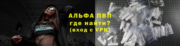 стаф Абаза