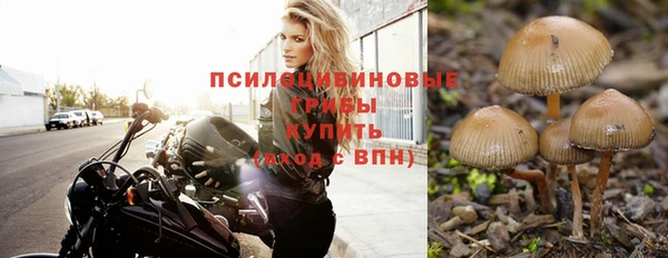 стаф Абаза
